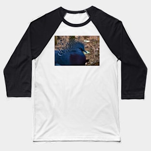 wild pigeon Baseball T-Shirt